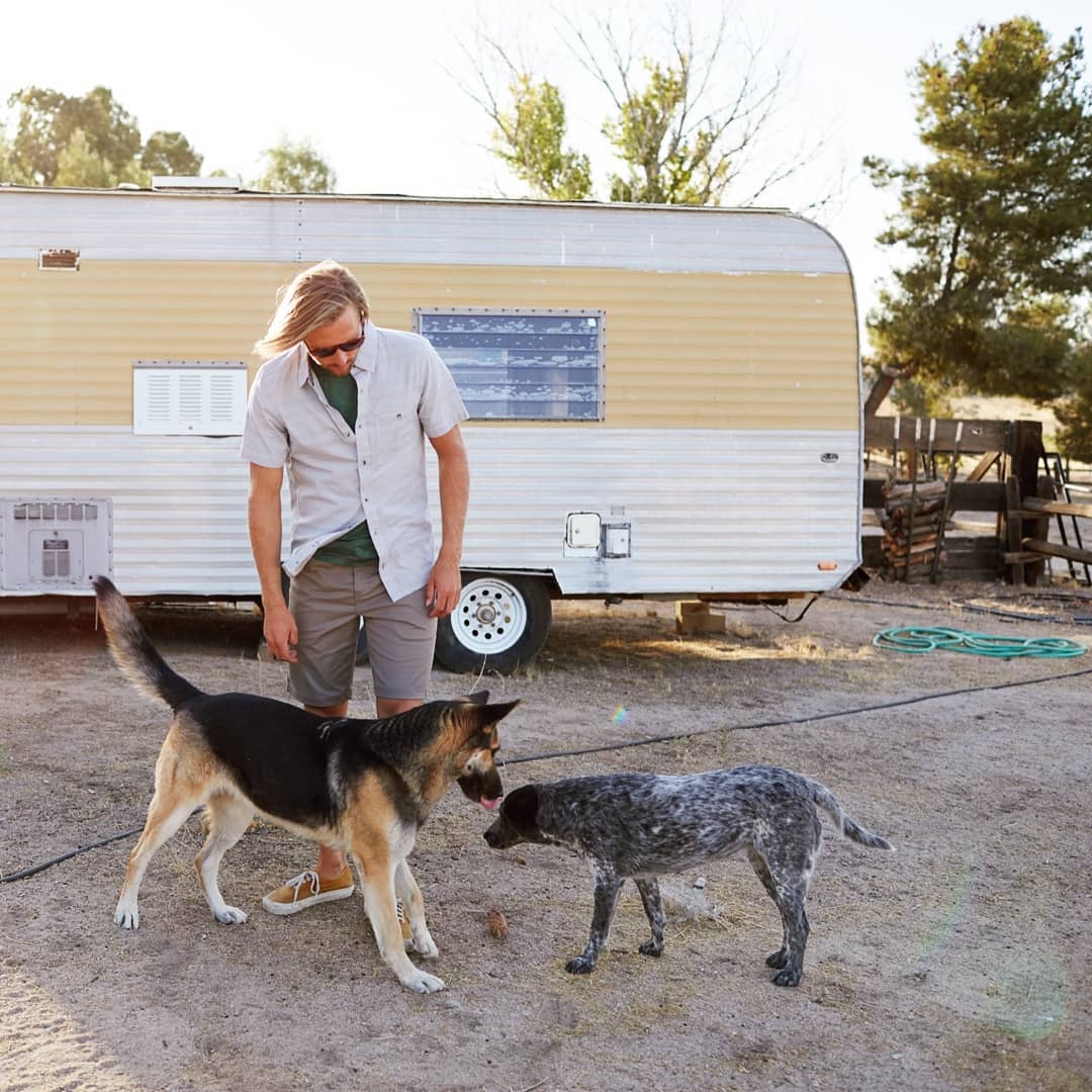 12 Tips for Traveling With Your Dog This Summer