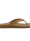 Sahara / Sahara