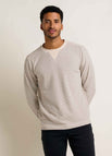 Grey Stripe
